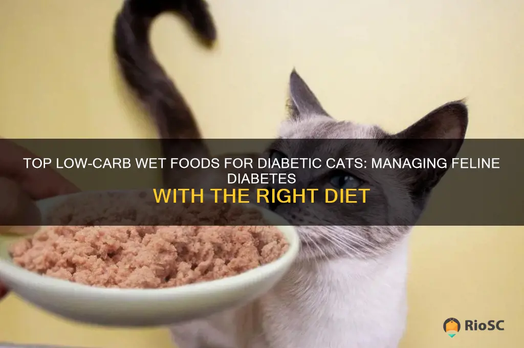 best litte for diabetic cat
