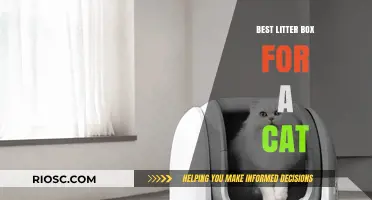 Top-Rated Cat Litter Boxes: Finding the Perfect Fit for Your Feline Friend