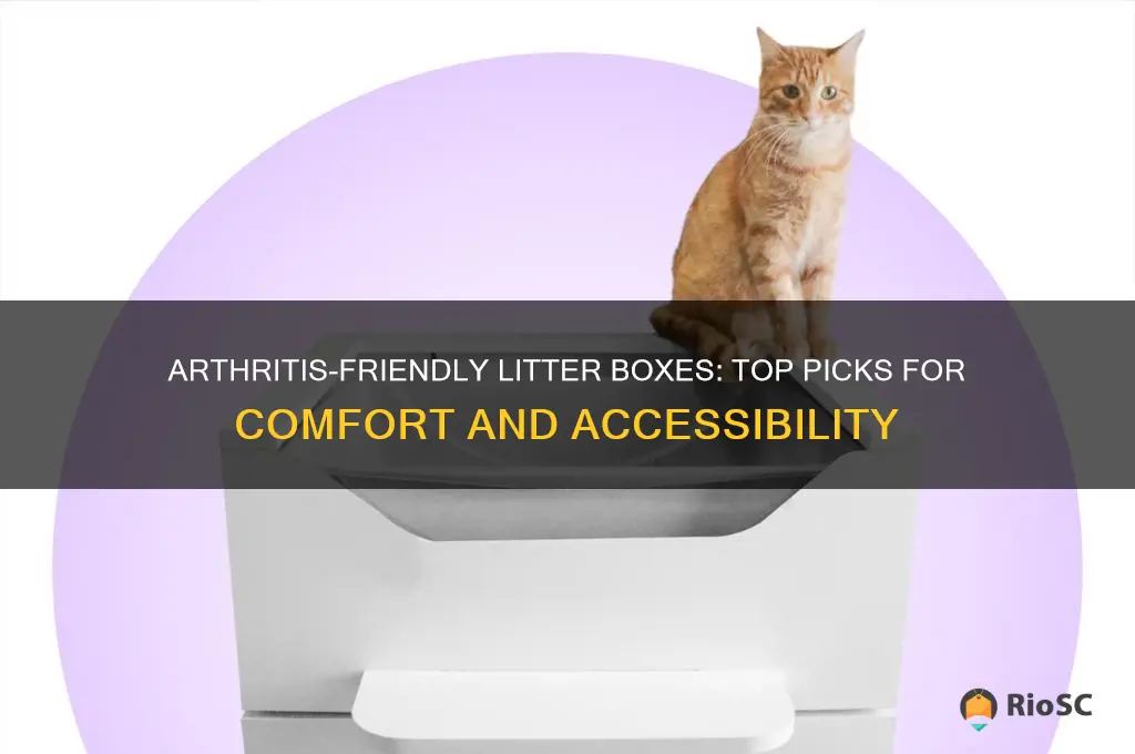 best litter box for arthritic cat