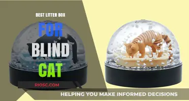 Purr-fectly Accessible: Top Litter Box Solutions for Blind Cats