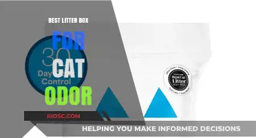Eliminate Cat Odor: Top Litter Box Picks for a Fresh-Smelling Home