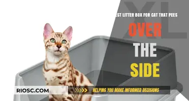 Top Litter Box Solutions for Cats That Pee Over the Side: Prevent Mess and Keep Your Home Clean