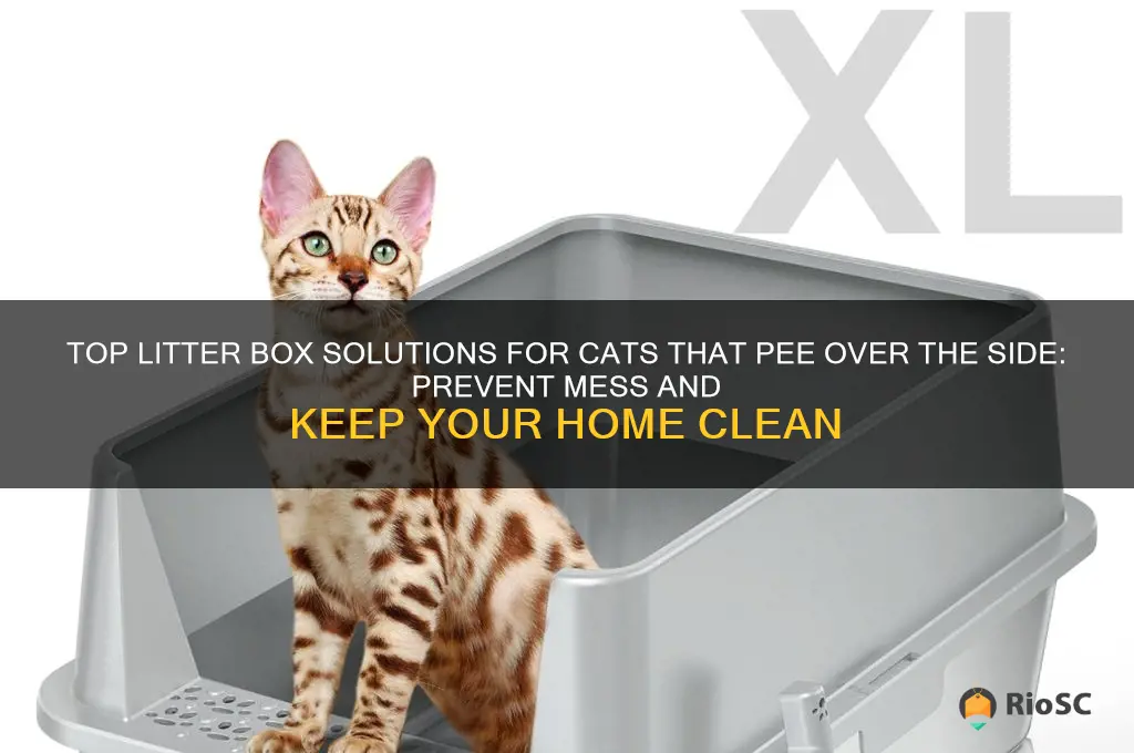 best litter box for cat that pees over the side
