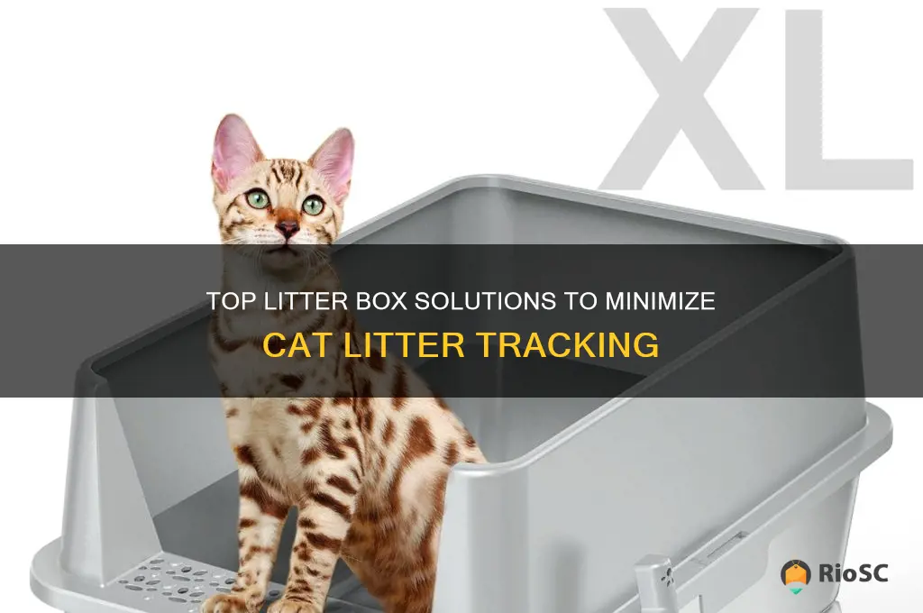 best litter box for cat tracking litter out