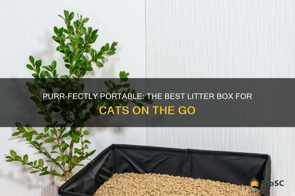 best litter box for cat while traveling