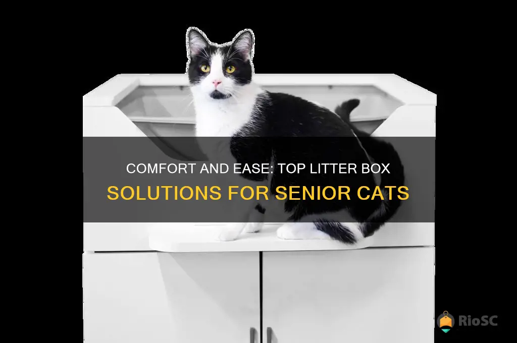 Photo inspiration: Fresh Look at Comfort And Ease Top Litter Box Solutions For Senior Cats
