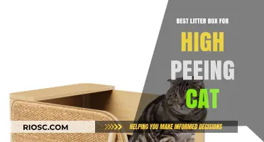Top Litter Box Solutions for Cats That Pee Over the Edge: Prevent Mess and Keep Your Home Clean