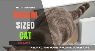 Top Picks: Best Litter Boxes for Medium-Sized Cats to Keep Your Feline Happy and Clean