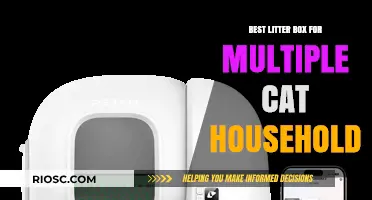 Top Picks: Best Litter Boxes for Multi-Cat Homes to Keep Your Feline Family Happy
