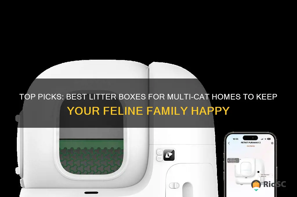 best litter box for multiple cat household