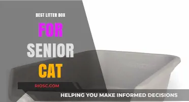 Comfort and Ease: Top Litter Box Picks for Senior Cats
