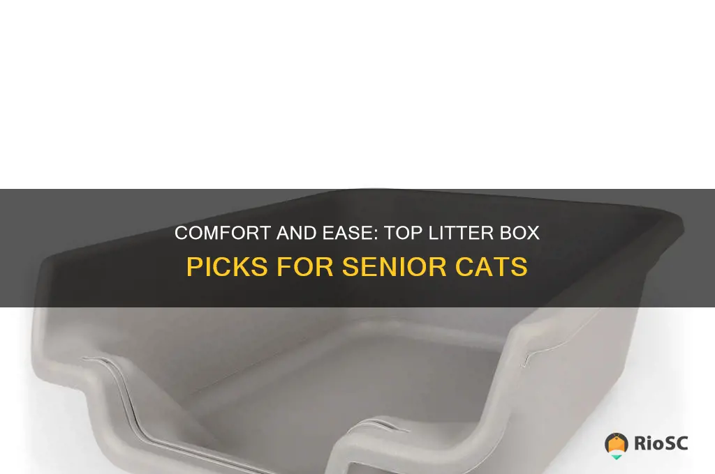 best litter box for senior cat
