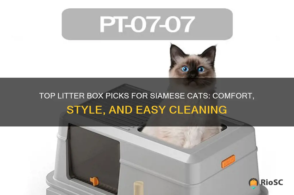 best litter box for siamese cat