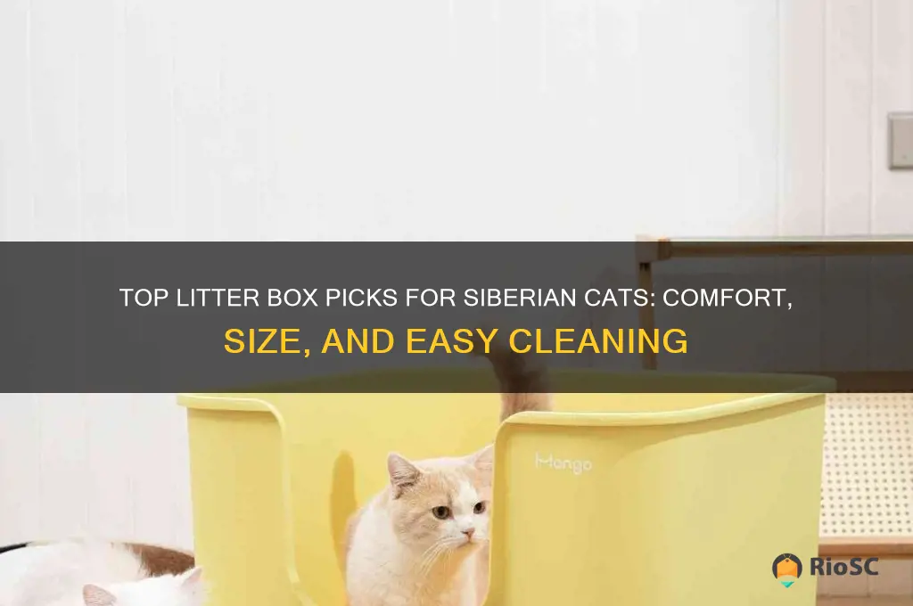 best litter box for siberian cat