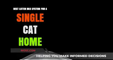 Top-Rated Litter Box Solutions for Solo Cats: A Comprehensive Guide
