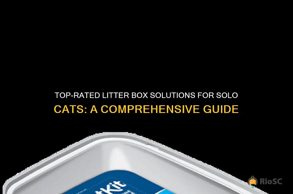 best litter box system for a single cat home