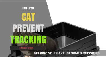 Top Litter Solutions to Prevent Cat Tracking: Keep Your Home Clean and Tidy