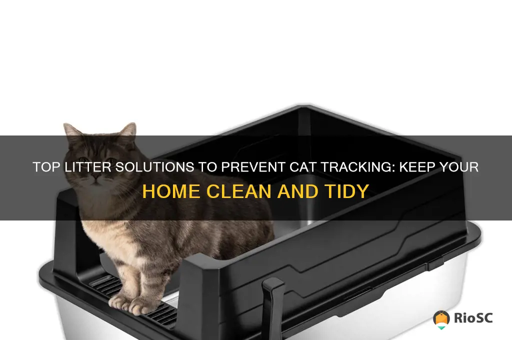 best litter cat prevent tracking