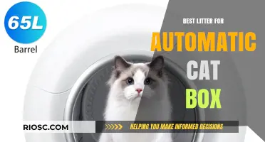 Top Picks: Best Litter for Your Automatic Cat Box – Efficiency, Odor Control, and Easy Maintenance
