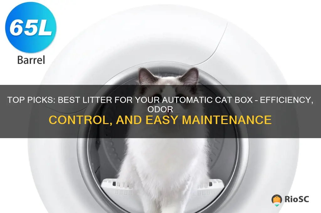 best litter for automatic cat box