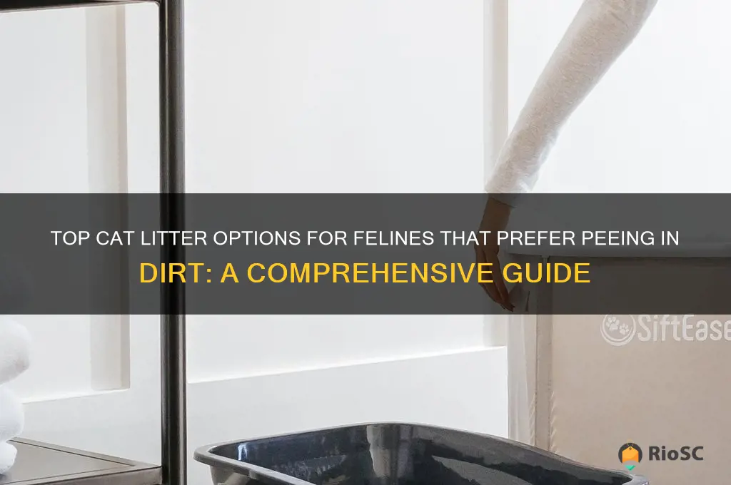 best litter for cat likes to pee in dirt