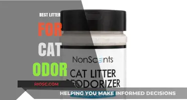Fresh and Clean: The Ultimate Guide to Choosing the Best Litter for Cat Odor Control