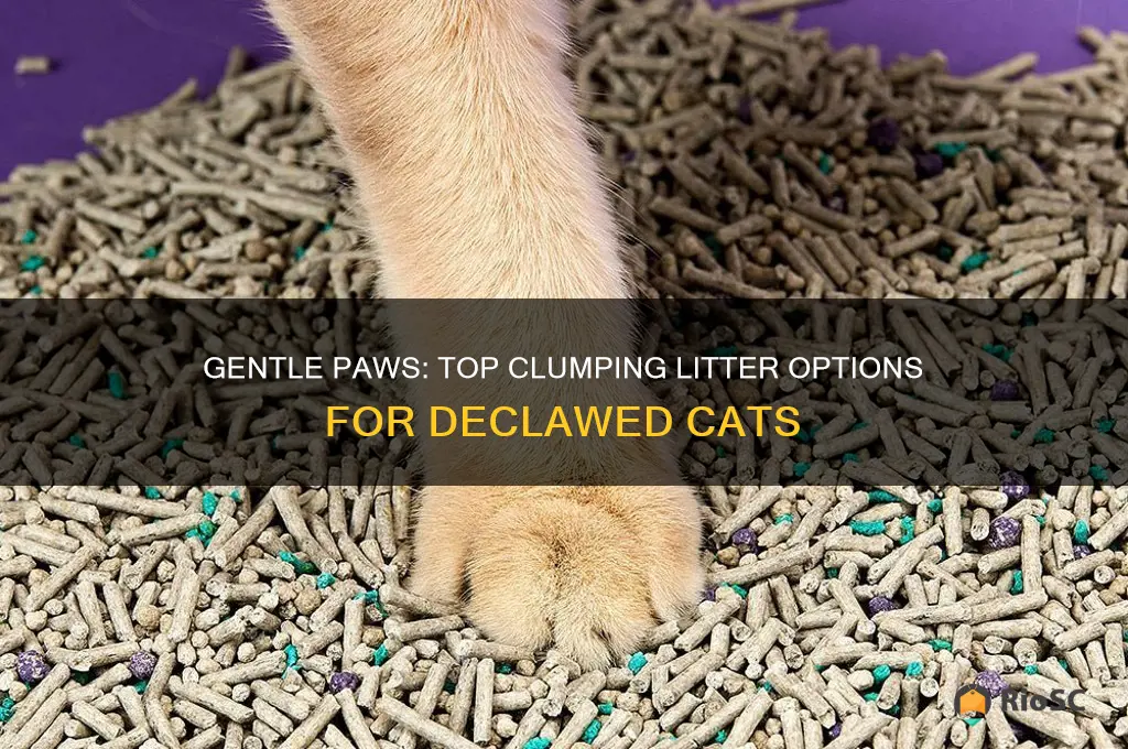 best litter for declawed cat that clumps