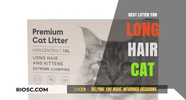 Top Picks for Long-Haired Cats: The Best Litter to Keep Them Clean and Comfortable