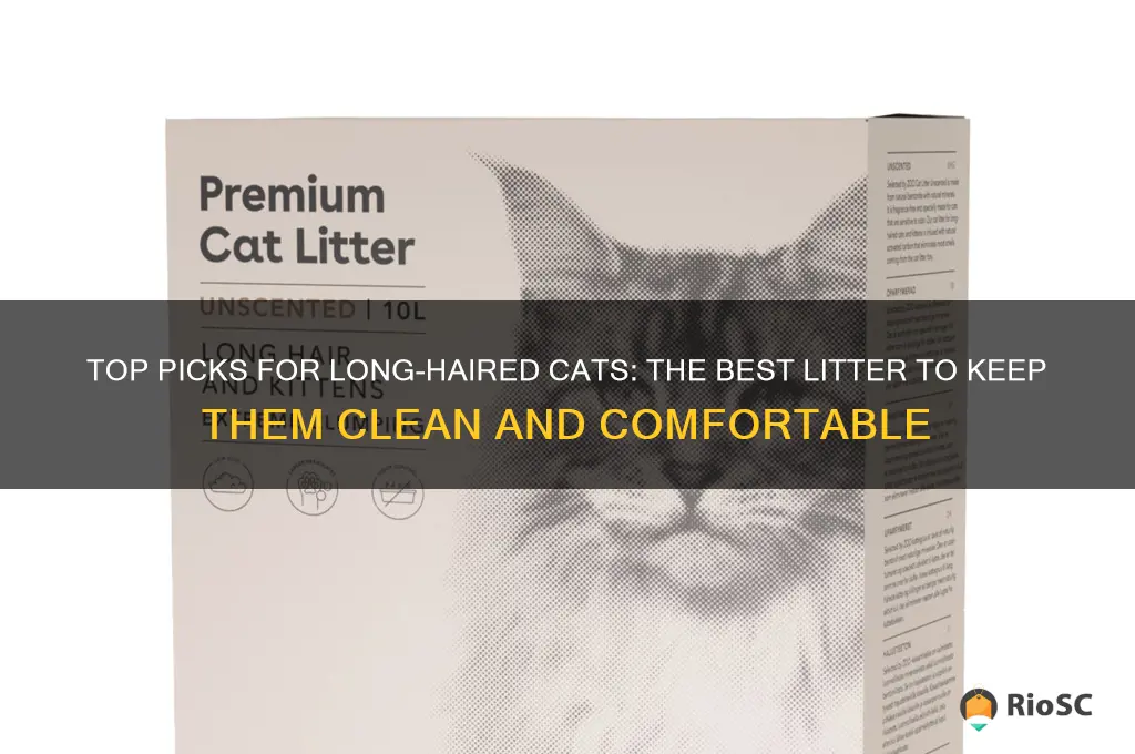 best litter for long hair cat