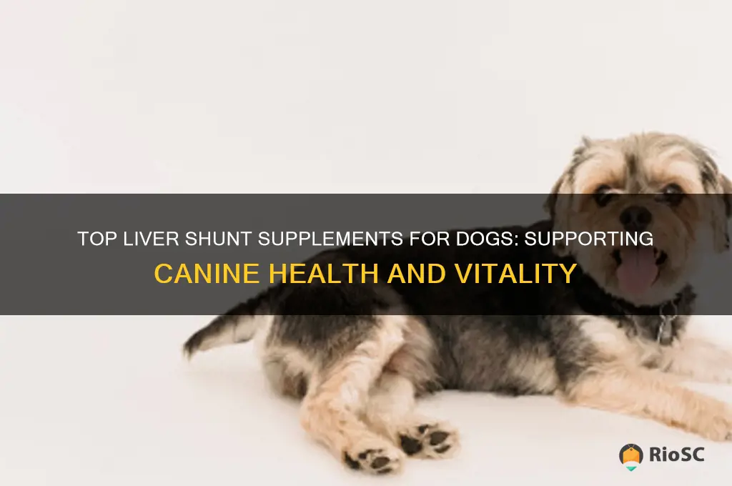 best liver shunt supplements dog