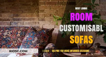Transform Your Living Space: The Ultimate Guide to Customisable Sofas