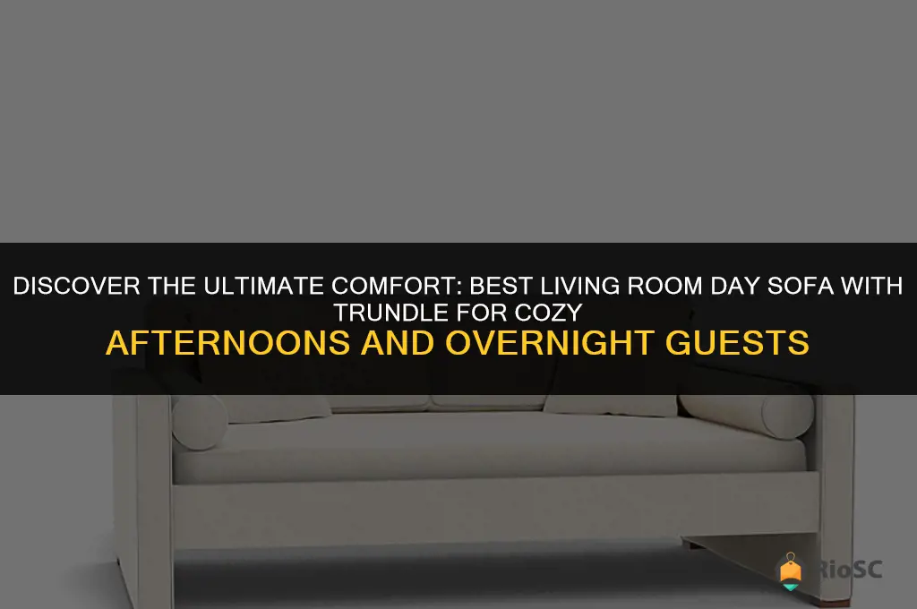 best living room day sofa with trundle