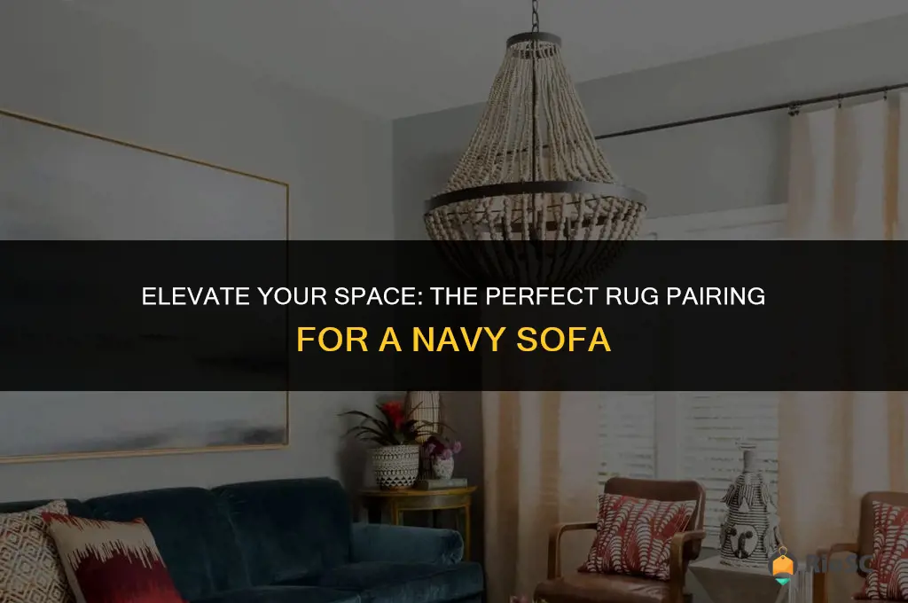 best living room rug for a navy sofa