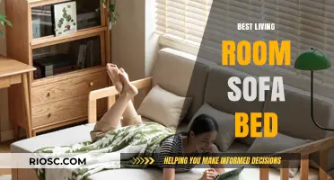 Ultimate Comfort: The Best Living Room Sofa Beds for Style and Functionality
