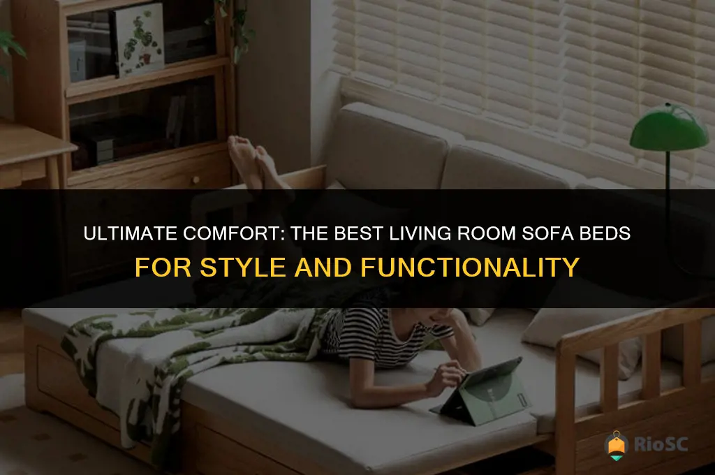 best living room sofa bed