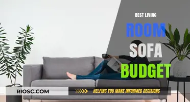 Discover the Perfect Living Room Sofa on a Budget: Style Meets Affordability