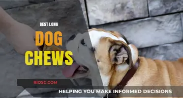 Top-Rated Long-Lasting Dog Chews for Healthy and Happy Pups