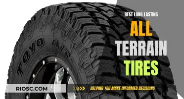 Unveiling the Top All-Terrain Tires for Extended Durability: Mastering Every Mile