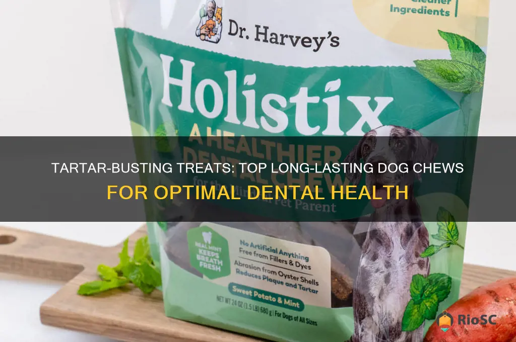 best long lasting dog chew for tartar control