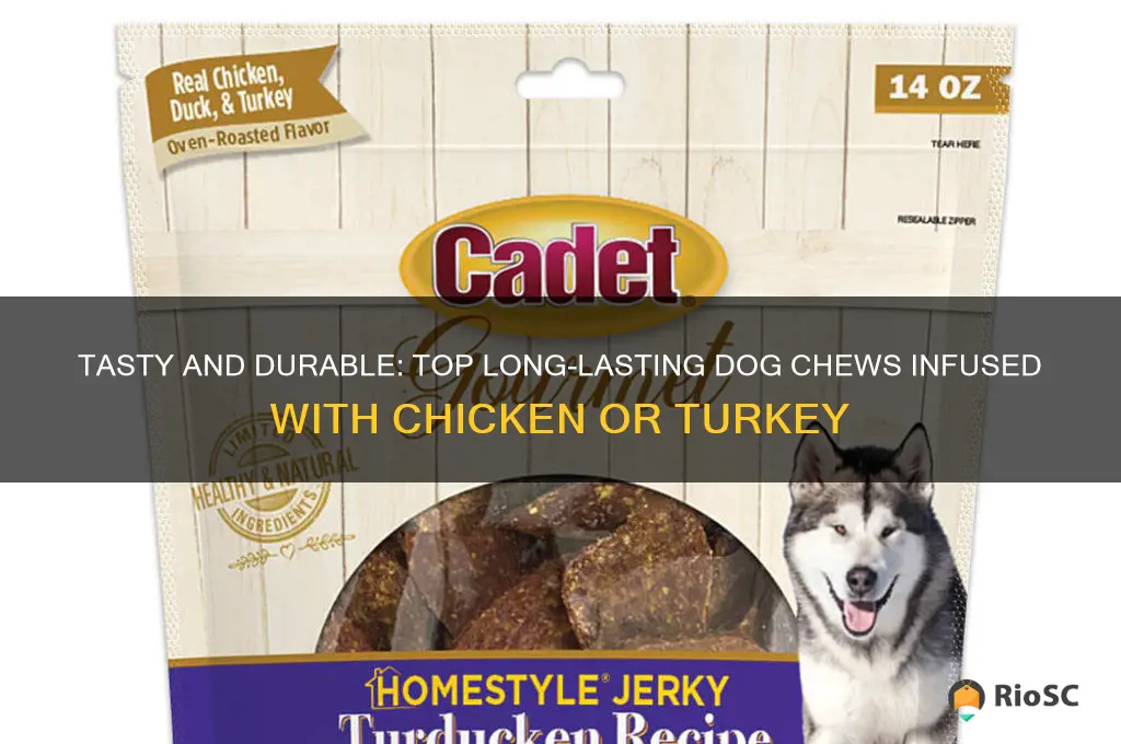 best long lasting dog chews with chicken or turkey