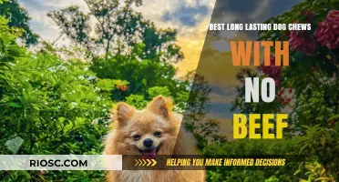 Top Beef-Free, Long-Lasting Dog Chews for Healthy and Happy Pups