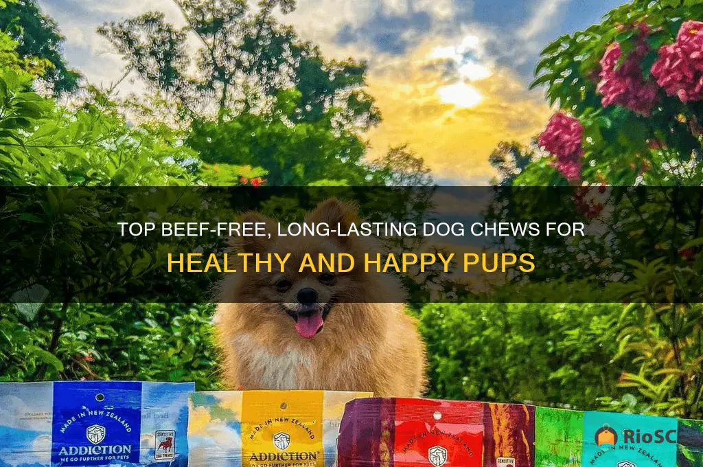 best long lasting dog chews with no beef