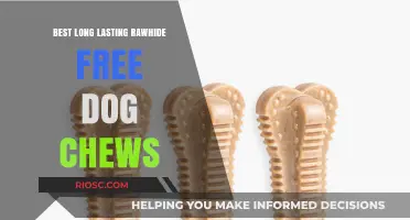 Top Rawhide-Free Dog Chews for Long-Lasting Satisfaction and Safety