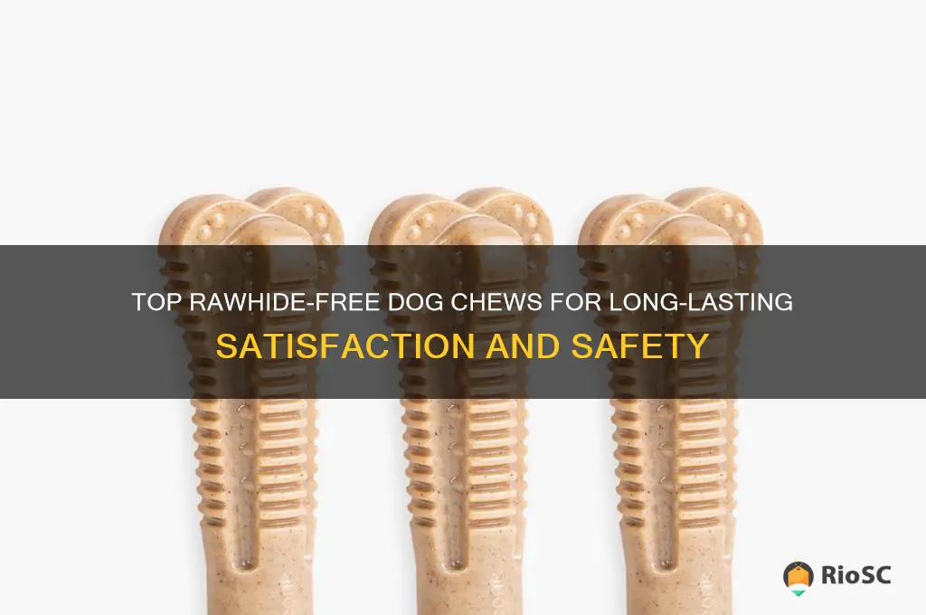 best long lasting rawhide free dog chews