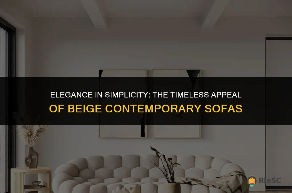 best looking beige contemporary sofa
