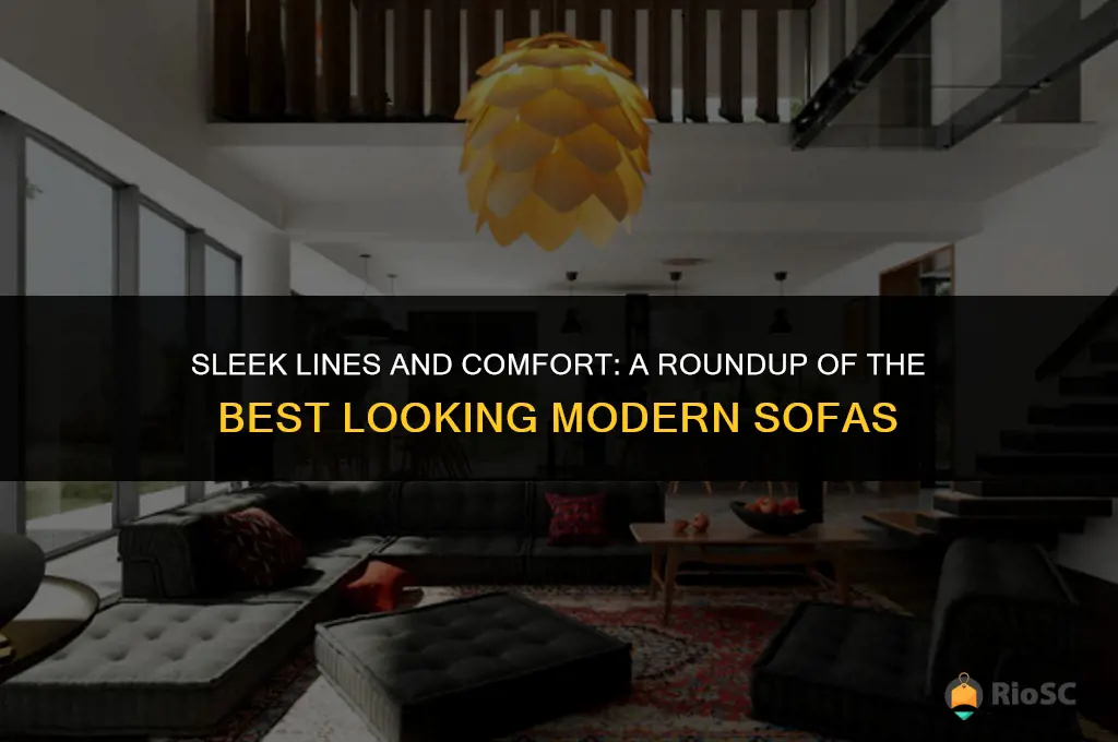 best looking modern sofas