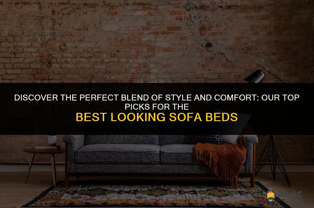 best looking sofa beds