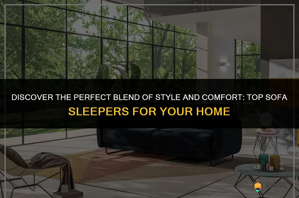 best looking sofa sleepers