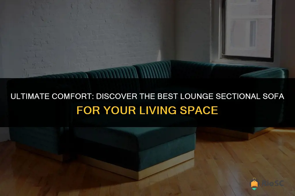 best lounge sectional sofa