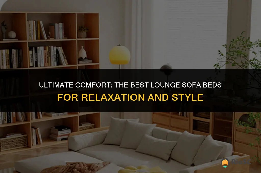 best lounge sofa bed